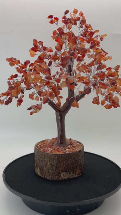 Home & Office Decor, Crystal Trees, Carnelian - (DCT-01)