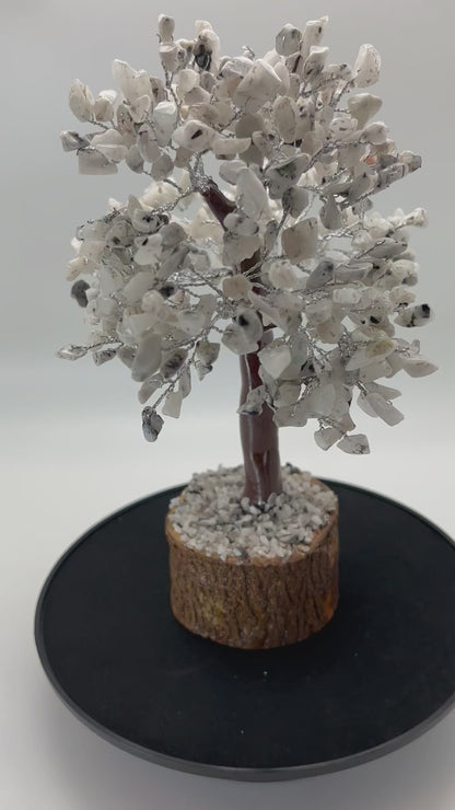 Home & Office Decor, Crystal Tree, Moonstone, 500 Chips, 9" Tall on Wood Base (DCT-05)