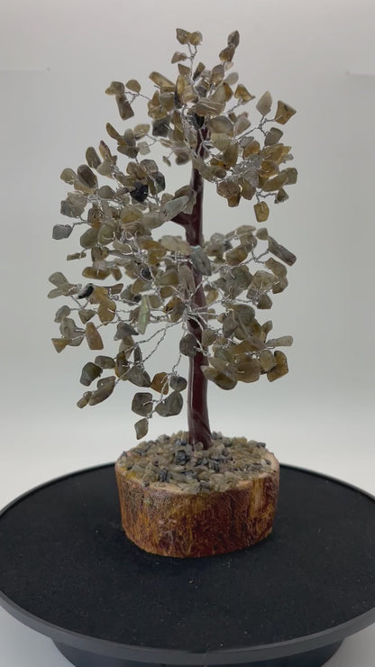 Home & Office Decor, Crystal Trees, Labradorite - SKU(DCT-03)