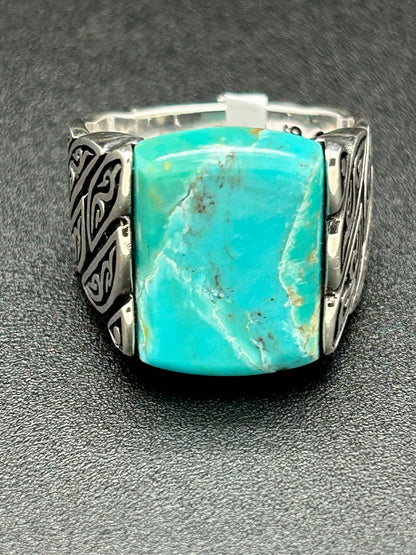 Men's Ring, Turquoise,  Size 9 (JMR 10)